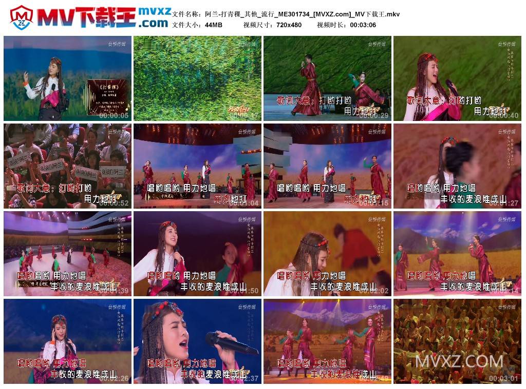 阿兰-打青稞_其他_流行_ME301734